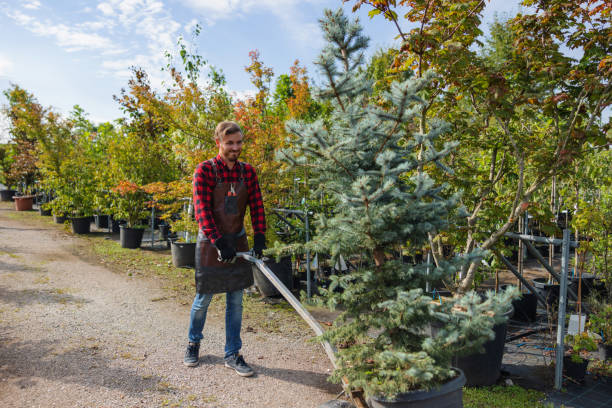 Best Commercial Tree Services  in Glasgow Village, MO